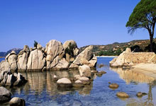 津門虎與國安熱身賽遺憾臨時取消.